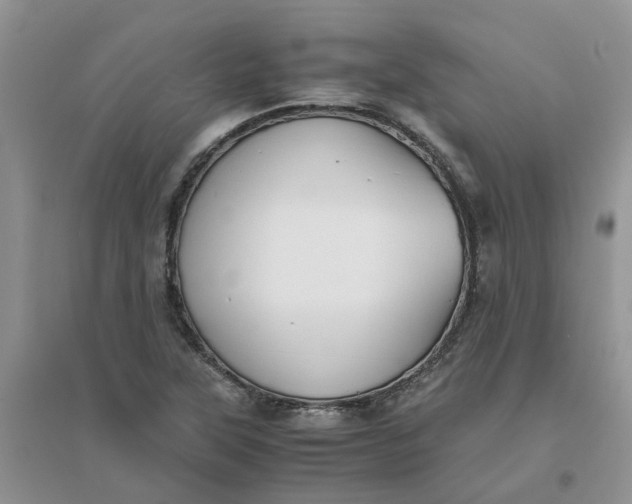 X0000096401315200802071552