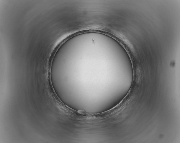 X0000096401316200802071552