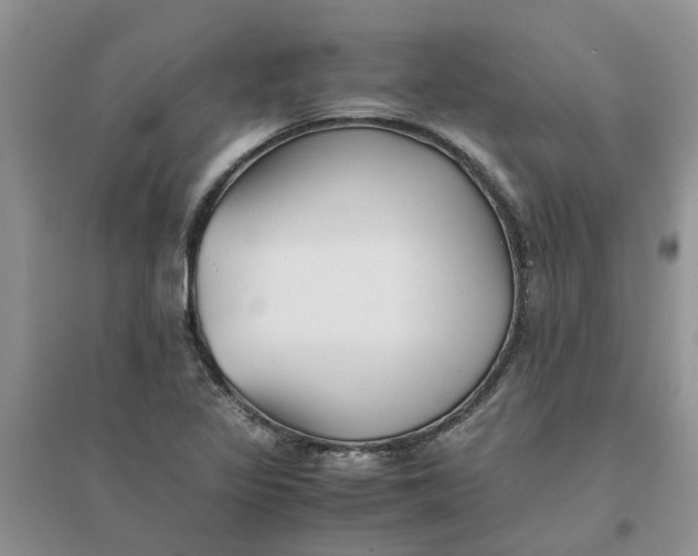 X0000096401317200802071552