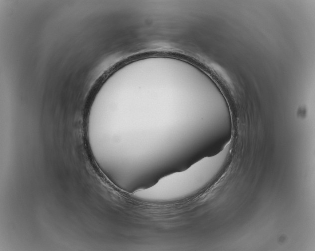 X0000096401318200802071552