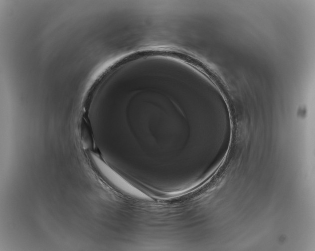 X0000096401319200802071552