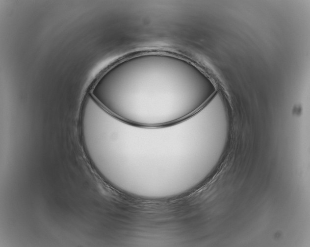 X0000096401320200802071552