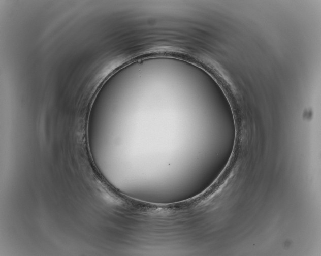 X0000096401321200802071552