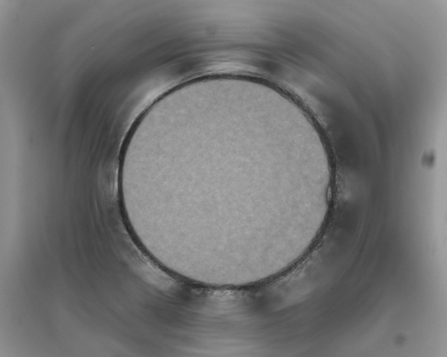 X0000096401322200802071552