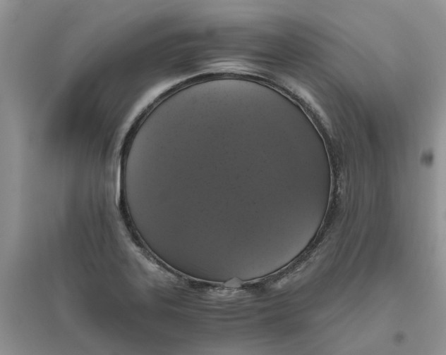 X0000096401323200802071552