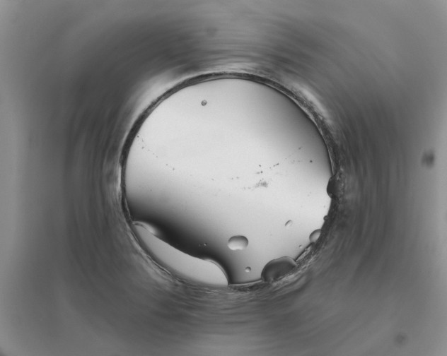 X0000096401324200802071552