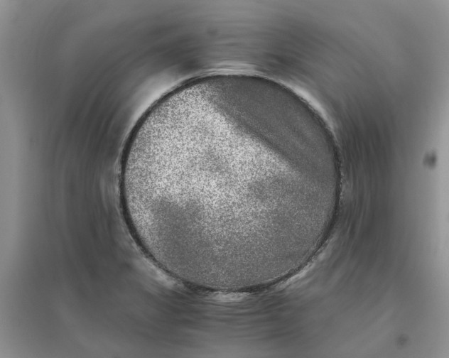 X0000096401325200802071552