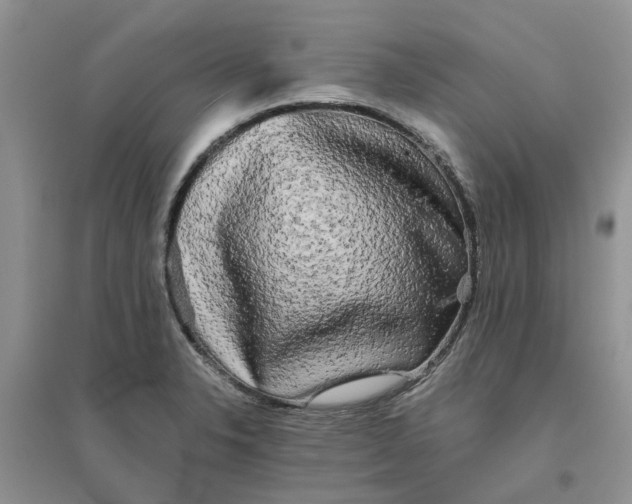 X0000096401326200802071552