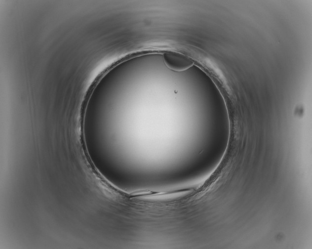 X0000096401328200802071552