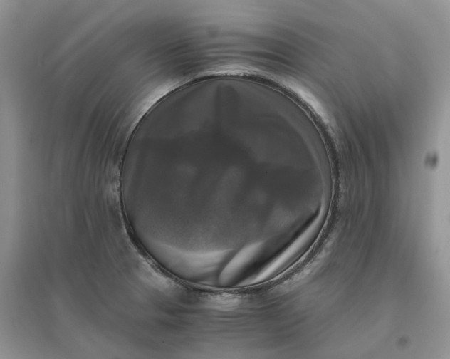 X0000096401329200802071552