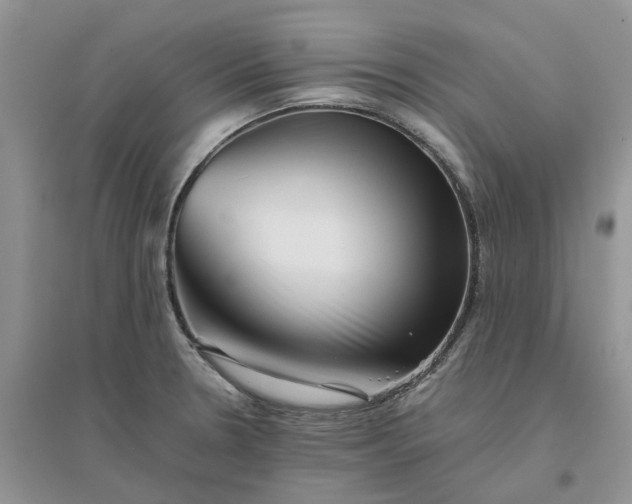 X0000096401330200802071552