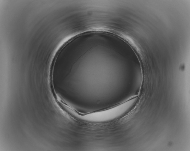 X0000096401331200802071552