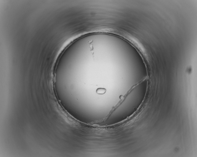 X0000096401332200802071552