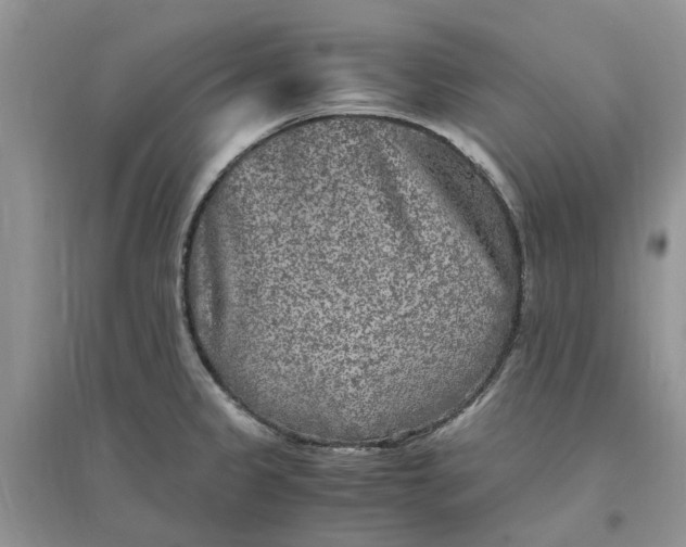 X0000096401333200802071552