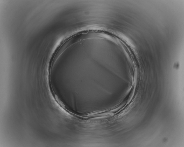 X0000096401334200802071552