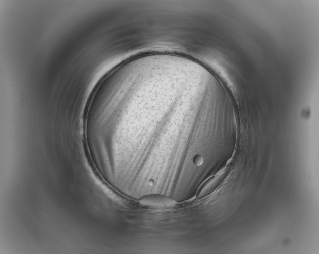 X0000096401335200802071552