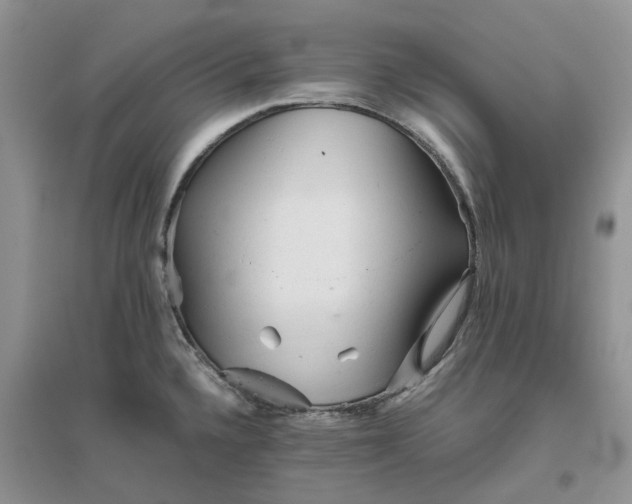 X0000096401336200802071552