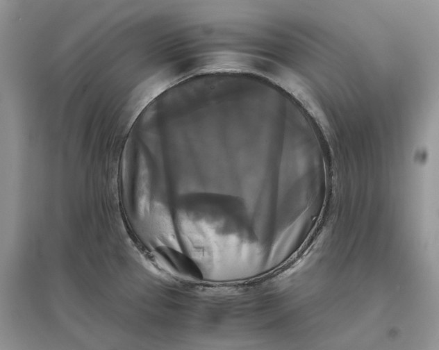 X0000096401337200802071552