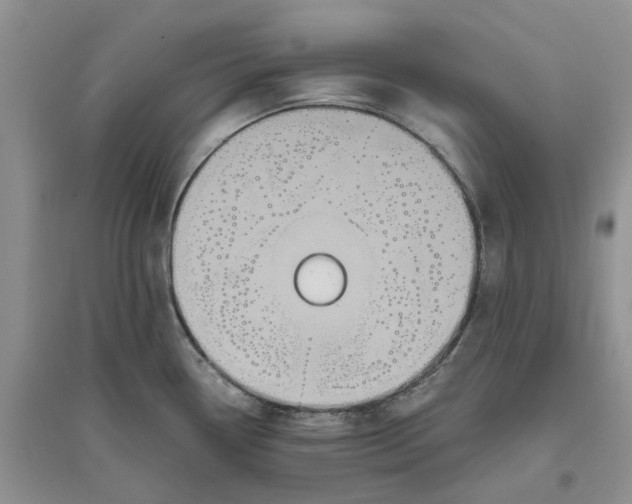 X0000096401338200802071552