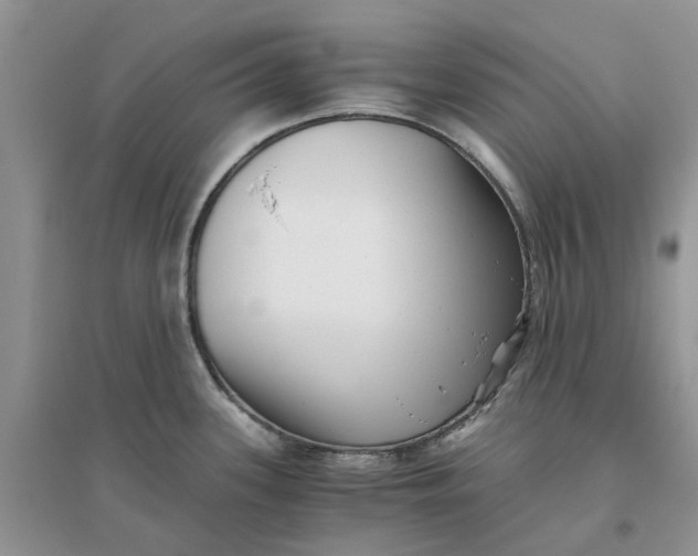 X0000096401339200802071552