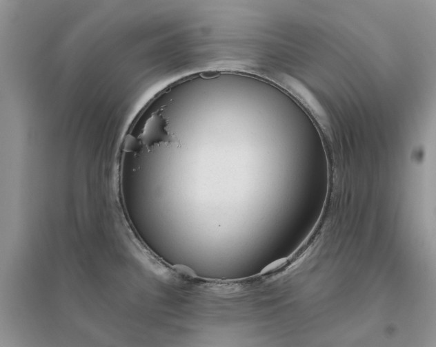 X0000096401340200802071552