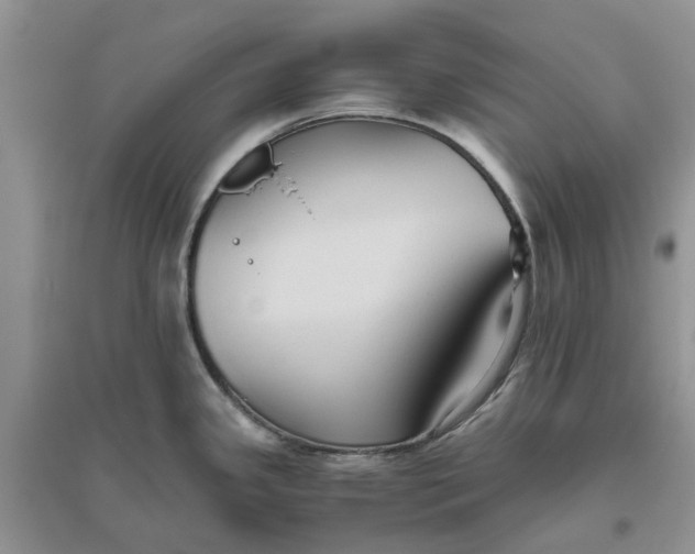 X0000096401341200802071552