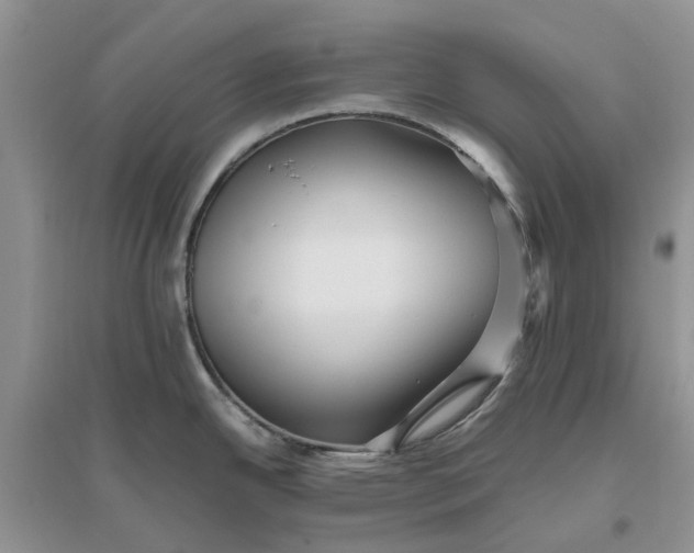 X0000096401342200802071552