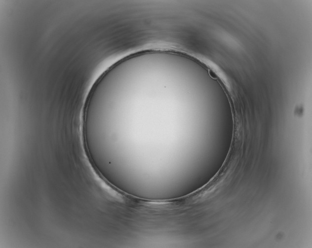 X0000096401343200802071552