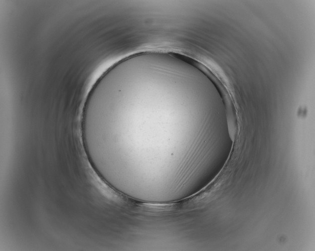 X0000096401344200802071552