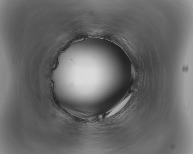 X0000096401345200802071551