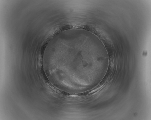 X0000096401346200802071551