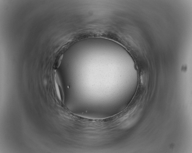 X0000096401347200802071551