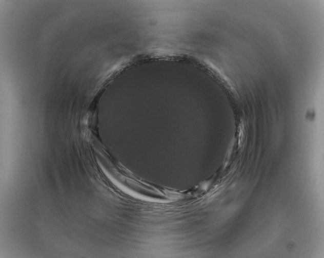 X0000096401348200802071551