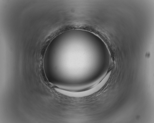 X0000096401349200802071551