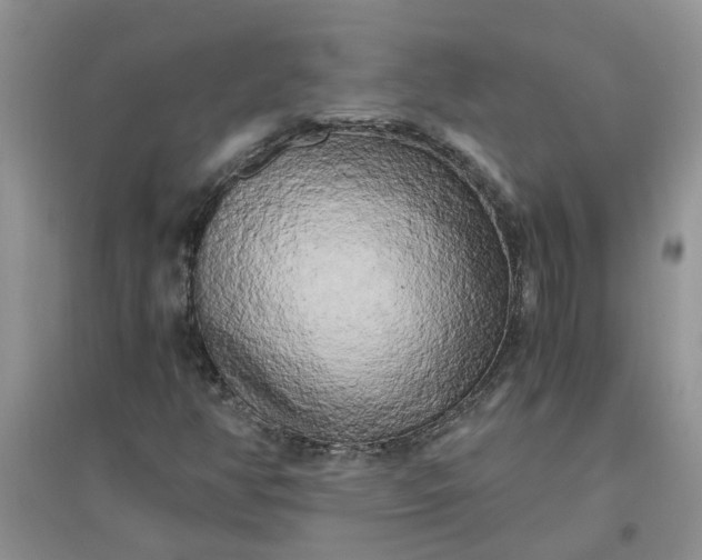 X0000096401350200802071551