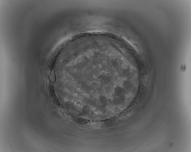 X0000096401351200802071551