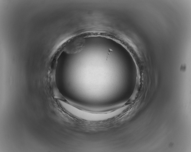 X0000096401352200802071551