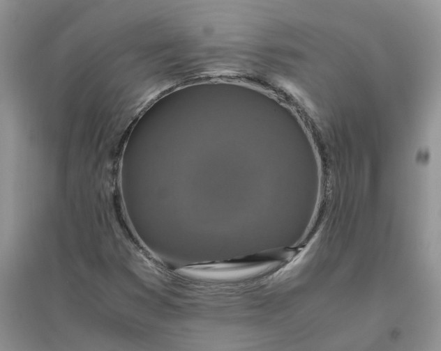 X0000096401353200802071551