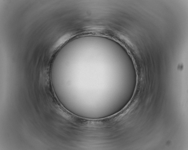 X0000096401354200802071551