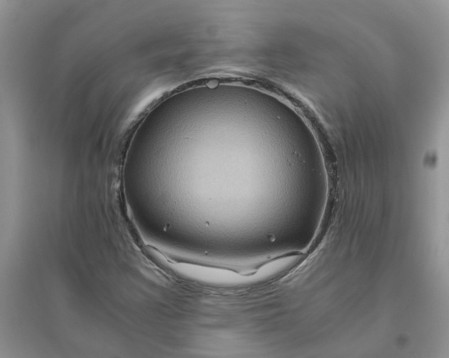 X0000096401355200802071551