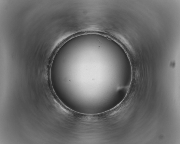 X0000096401356200802071551