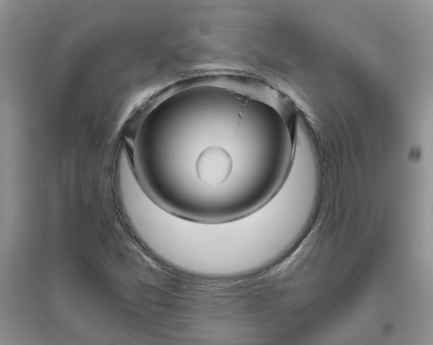 X0000096401357200802071551