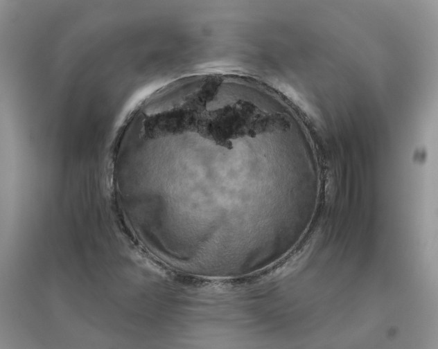 X0000096401358200802071551