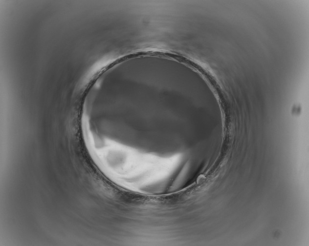 X0000096401359200802071551