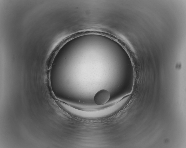 X0000096401360200802071551