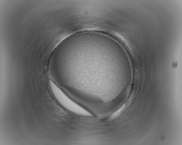 X0000096401361200802071551