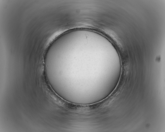 X0000096401363200802071551