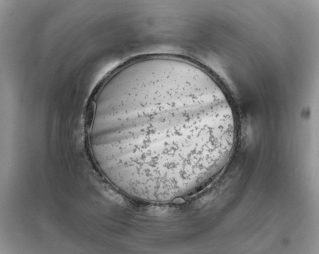 X0000096401364200802071551