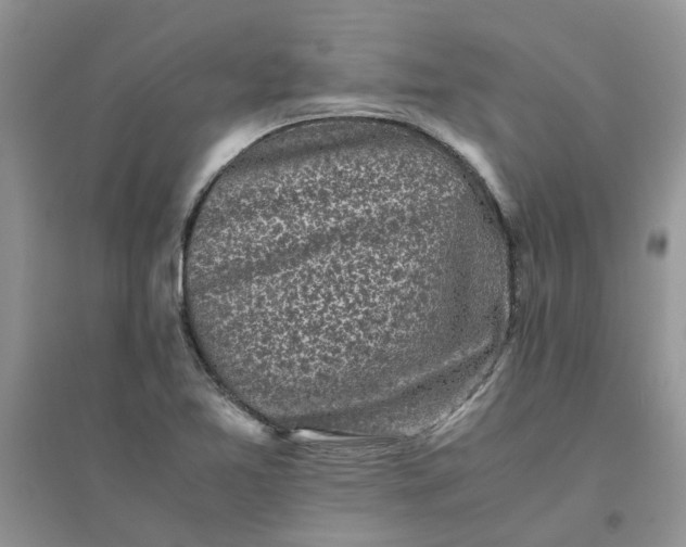 X0000096401365200802071551