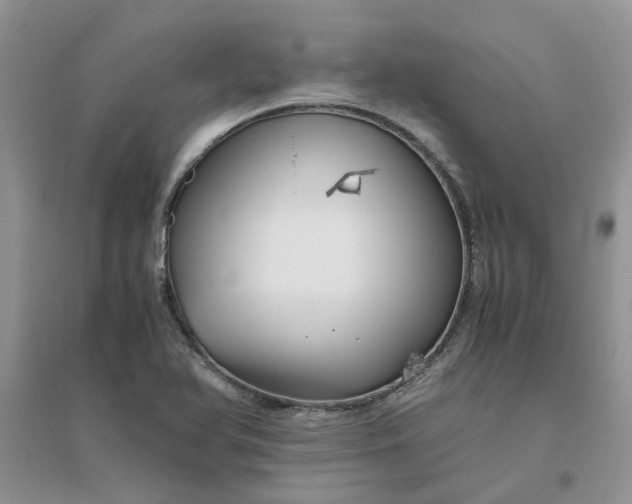 X0000096401366200802071551